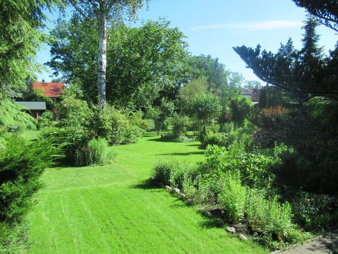 Blick in den großen Garten