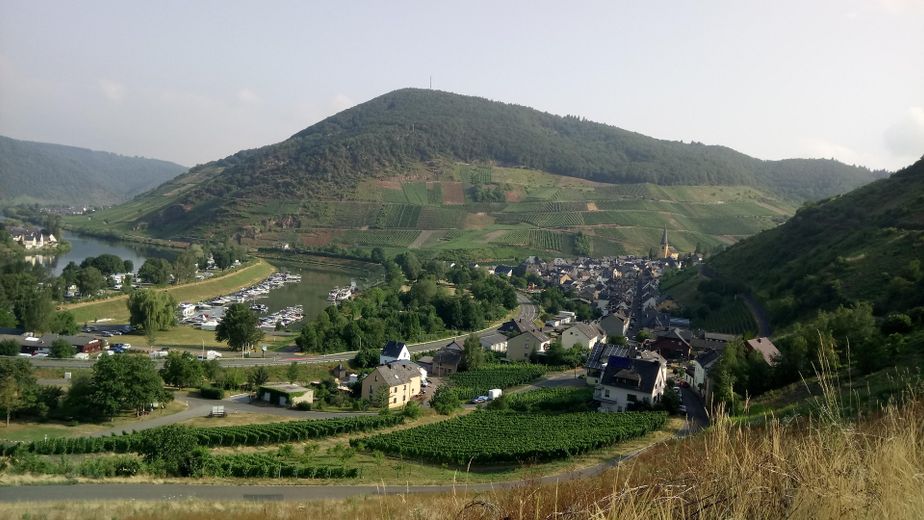 Umgebungsbild Senheim u. Hafen