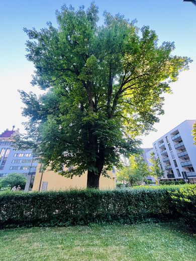 Gartenparadies in Freiburg Herdern * ohne Provision * – फोटो 12