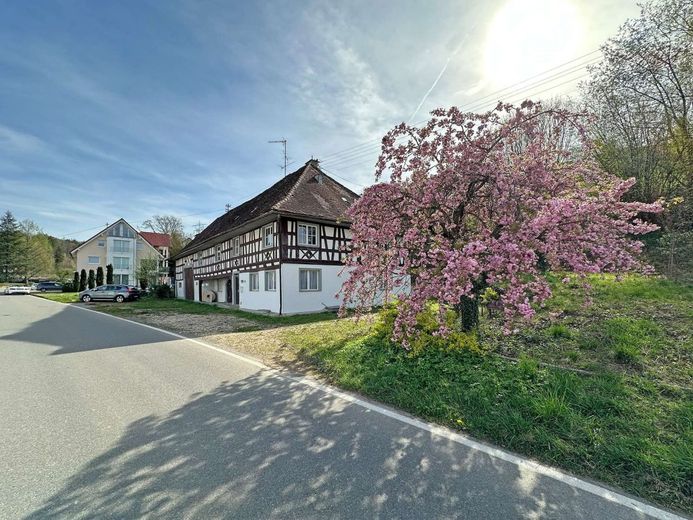 Traum am Bodensee zur Selbstverwirklichung – Ansicht von der Straße aus