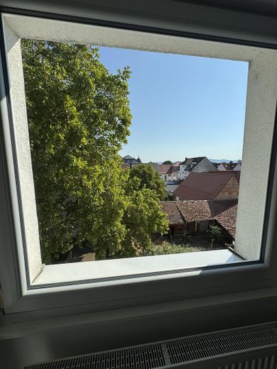 Apartamento de 3 habitaciones en estado casi nuevo con muchos aspectos destacados en Ilvesheim – Foto 16