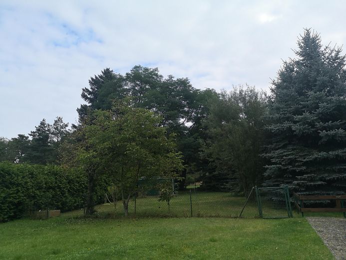 Wohnung mit Garten/Carport Brandbg. OT zu vermieten – Garten
