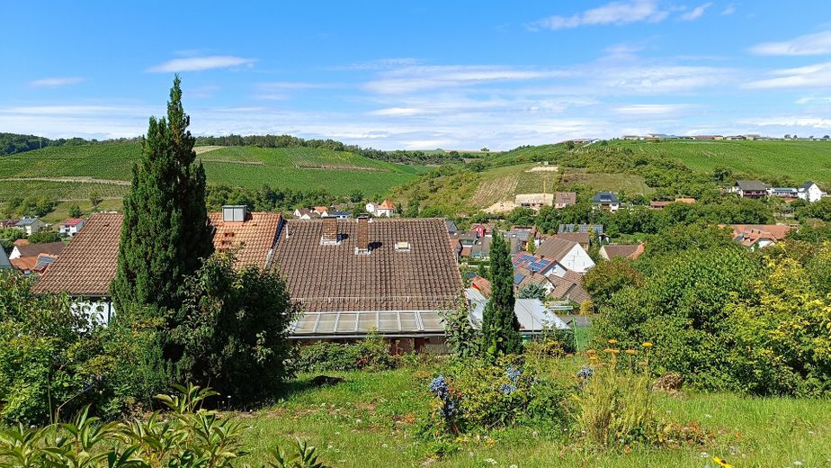 Gartenimpressionen 2
