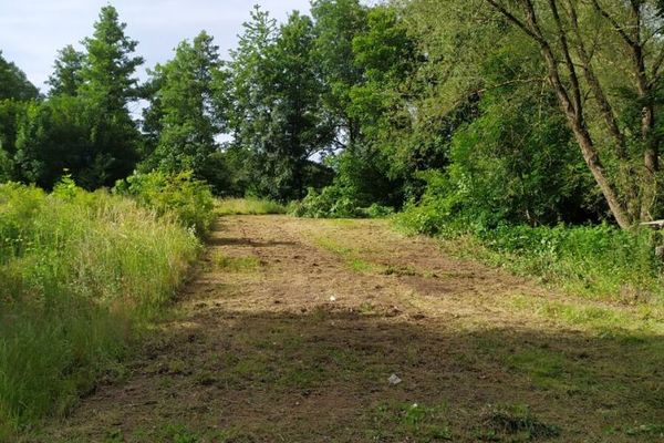 Terreno edificabile in posizione tranquilla a Steinau an der Straße - esposizione a sud sulla Kinzig