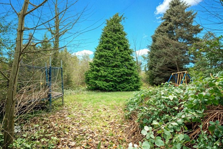 Einfamilienhaus, Ladenlokal und viel Grundstück - mitten in Bergheim – Garten