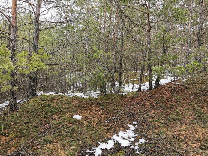 Baugrundstück für Naturliebhaber – Januar 2023