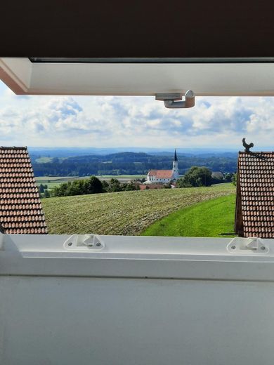 Ausblick Dachfenster n. Süden