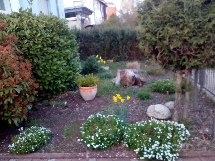 Blumengarten frontal