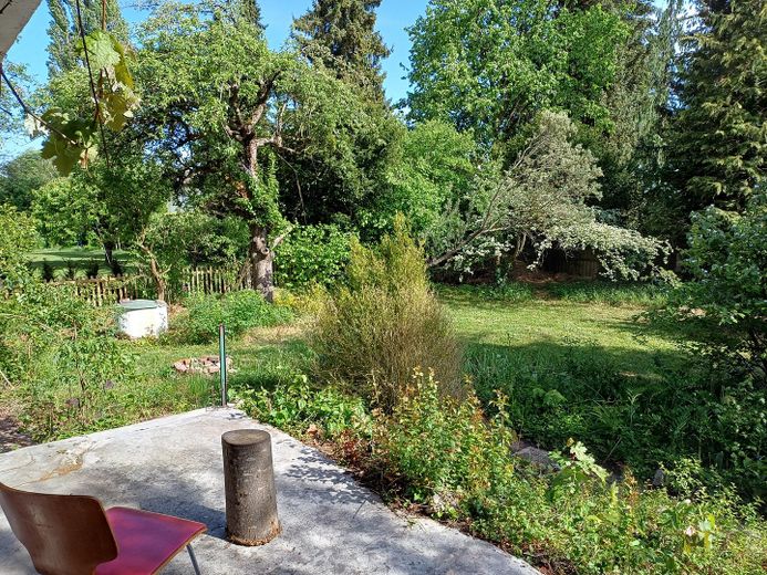 Charmantes Haus auf großem Grundstück in München Pasing – Garten