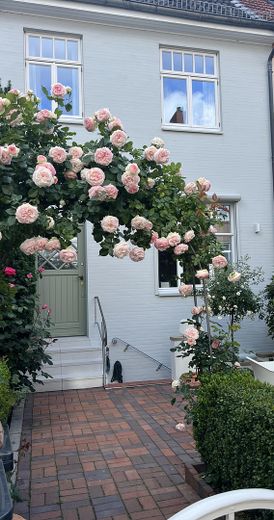 Liebevol moderniseerde rijwoning in Bremer stijl in Bremen, Hastedt – Hausansicht