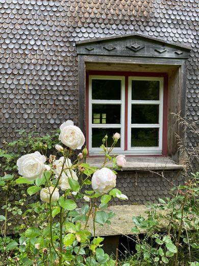 Historisches Bauernhaus im Allgäu in absoluter Alleinlage – Foto 10
