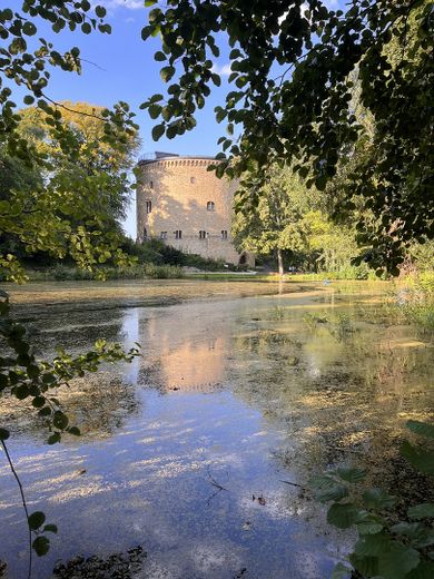 Teich