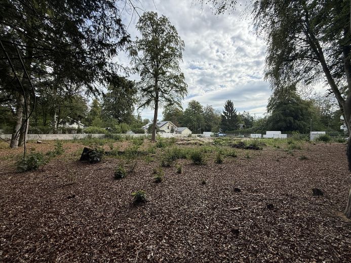 Terreno soleggiato con parco – divisibile e senza provvigioni – Foto 6