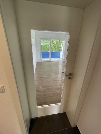 Wohnzimmertür mit Glaseinsatz