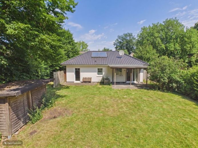 Wohnen auf einer Ebene – moderner Bungalow mit außergewöhnlichem Gartenparadies – Foto 1