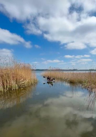 Un piccolo gioiello con vista da sogno e accesso diretto al lago a Timmendorfer Strand - Hemmelsdorf – Foto 17