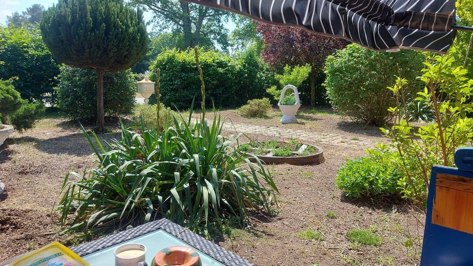 Naturparadies nähe Ludwigslust mit Schwimmteich, Koiteich & Werkstatt in Gorlosen (Kaufpreis VB) – Garten vor dem Haus