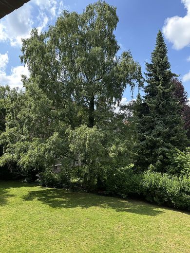 Blick ins Grüne