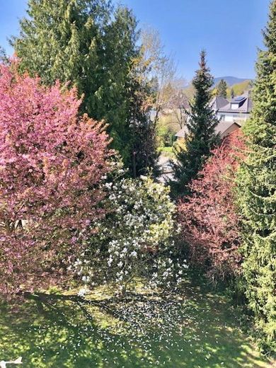 Blick Garten der Liegenschaft