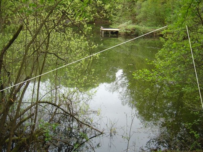 Nobelino.de - Wochenendgrundstück / Freizeitgrundstück am Grünen See in Mühlheim am Main – Foto 1