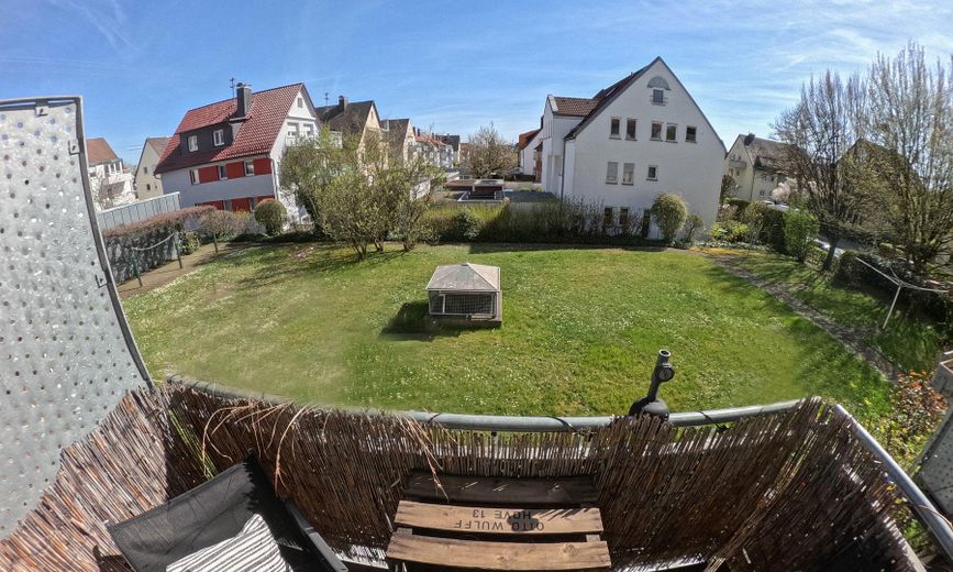 Blick in Garten