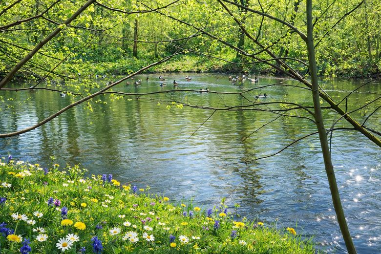 GESCHMACKVOLL EINGERICHTETE WOHNUNG IN SIERKSDORF, STRANDNÄHE, PROVISIONSFREI – Teich am Haus