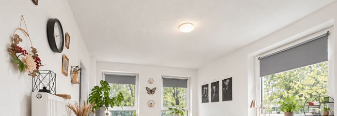 2-room apartment in Hamburg-Horn with garage – commission-free and quietly located