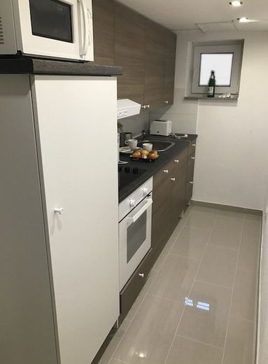 Basement Apartment im Herzen Frankfurts – Küche 
