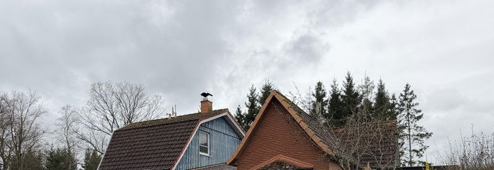 Außenansicht vom Garten
