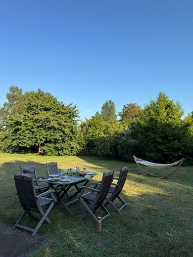 Inselidyll mit Boddenblick: Großes Grundstück & Ferienhaus-Potenzial auf Rügen – Garten