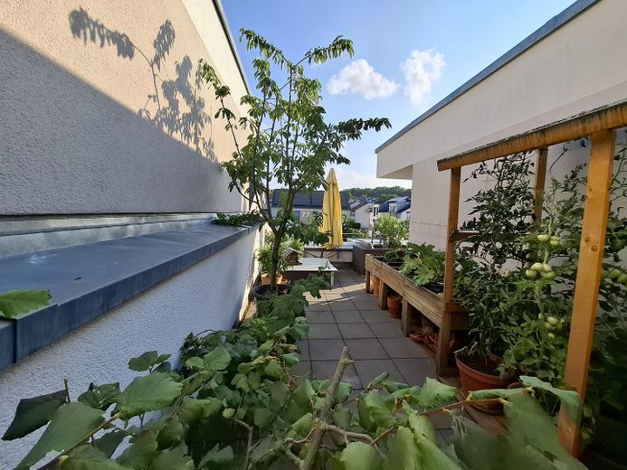 Zentrales Penthouse in Waiblingen mit großer Dachterrasse – Dachterasse