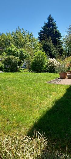 Garten hinter dem Haus