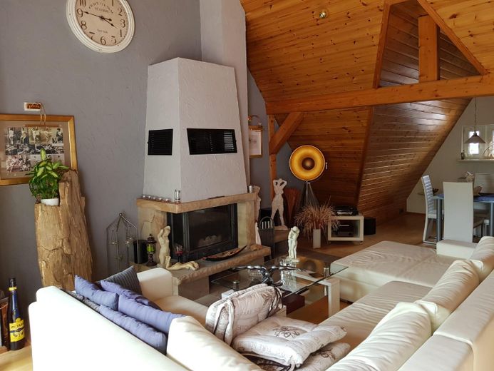 Luksusowe mieszkanie w centrum miasta z tarasem na dachu nad dachami Aue – Wohnzimmer mit Kamin