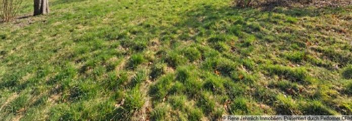 Baugrundstück in Taura mit positivem Bauvorbescheid mit ca. 1.200 m²