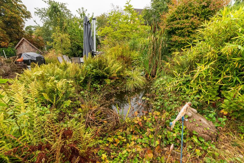 vielseitig verwendbares Zweifamilienwohnhaus im anerkannten Naturschutzgebiet – angelegter Teich im Garten