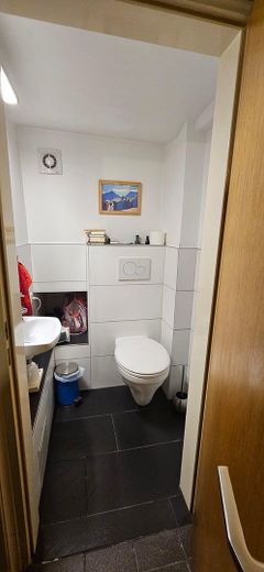 Charmantes kleines Altbremer Reihenendhaus mit Garage in Peterswerder – Gäste-WC