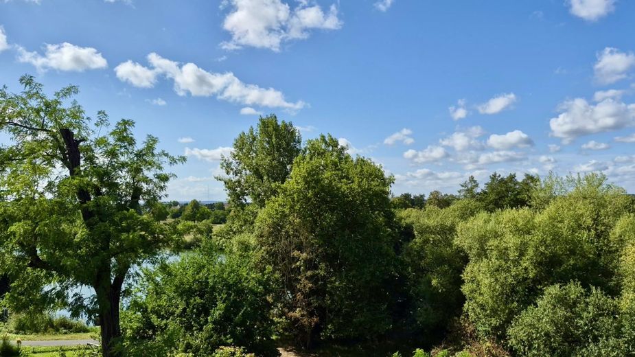 Gepflegte Dachgeschosswohnung mit Mainblick – Foto 10