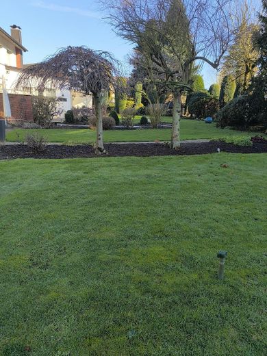 Provisionsfrei für Käufer | Familienhaus in Toplage | Bieterverfahren ab 389.000 € – Garten