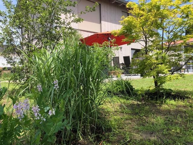 Blick aus Garten auf Südseite