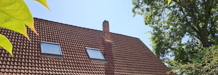 Garten Westseite Eingang EG