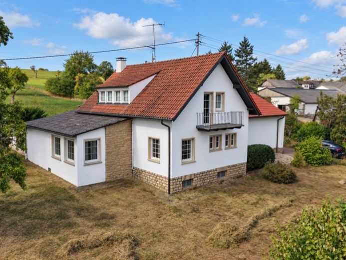 Wohnen, wo Kunstgeschichte entstand– Künstleranwesen mit Atelier und 5.500 m² Grundstück in Oberkail – Foto 1