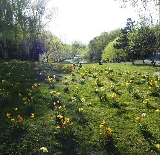 Top-Lage & Weitblick am Fennsee: Helle, bezugsfreie 2-Zimmer-Wohnung. Für Selbstnutzer oder Anleger – Volkspark Wilmersdorf