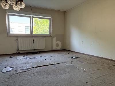 IDEAL FÜR HANDWERKER UND INDIVIDUALISTEN – 1782221079_b86c92.jpg