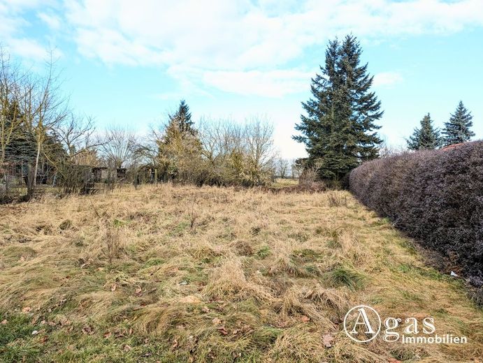 Attraktives Grundstück ohne Bauträgerbindung in Ziesar – Blick auf das Grundstück
