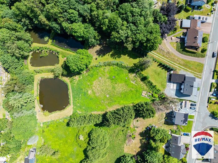 Schickes EFH mit großem Grundstück in Schwarzenbach am Wald – Bild 12