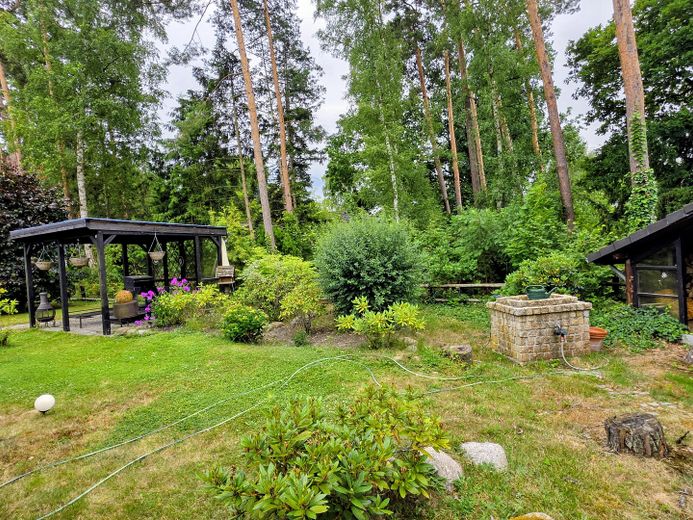 OHNE MAKLER , Provisionsfrei: Idylle am Waldrand in Bleckede mit Kamin und Sauna auf 1100 qm" “ – Foto 8