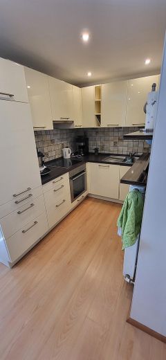 Exclusive 3-room apartment, fitted kitchen, terrace, winter garden + garden, top location Pforzheim Nordstadt – Plana Einbauküche