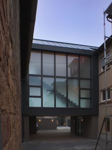 Architekten-Neubauvilla  in Weinbergsrandlage in Neustadt-Hambach – Foto 6