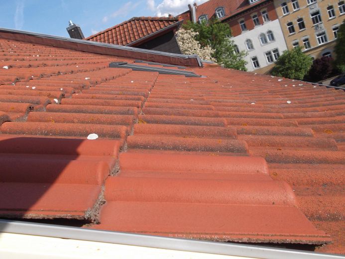Blick auf´s Dach 