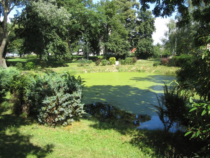 einzigartiges GUTSHAUS in halbrunder Bauweise Nähe Müritz – Foto 22